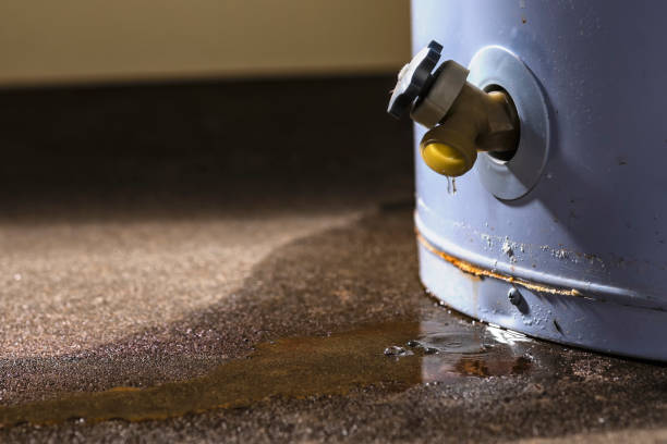 Best Professional water damage repair  in Cascade Locks, OR