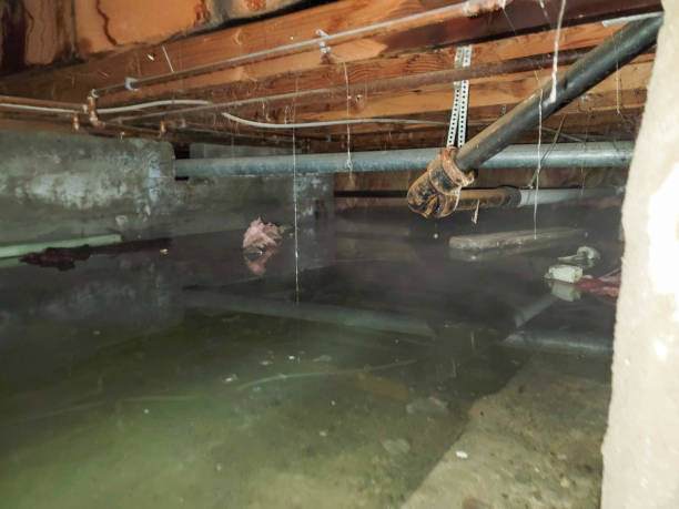 Best Ceiling water damage repair  in Cascade Locks, OR