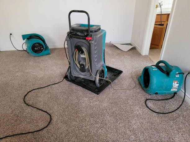Best Water damage cleanup near me  in Cascade Locks, OR