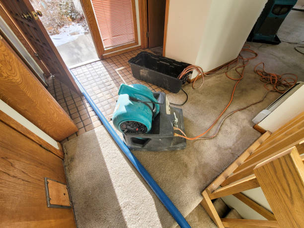 Best Residential water damage restoration  in Cascade Locks, OR