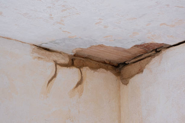 Best Carpet water damage restoration  in Cascade Locks, OR