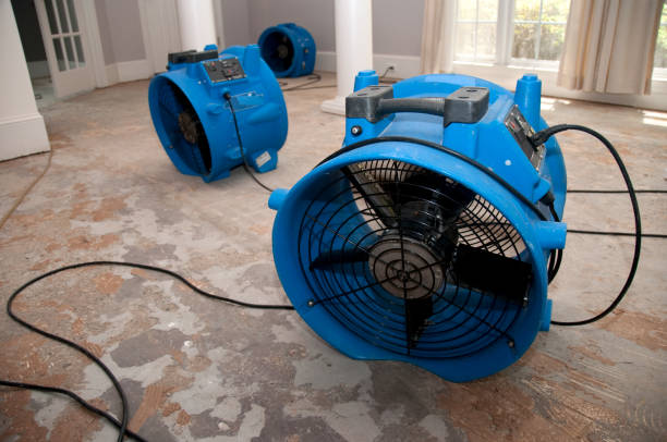 Best Local water damage restoration  in Cascade Locks, OR