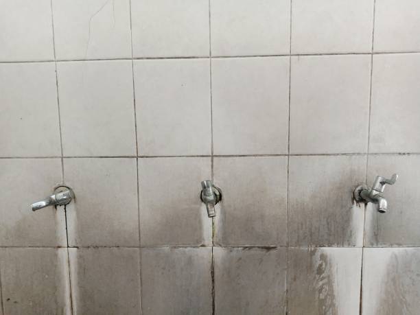 Best Flooded house restoration  in Cascade Locks, OR