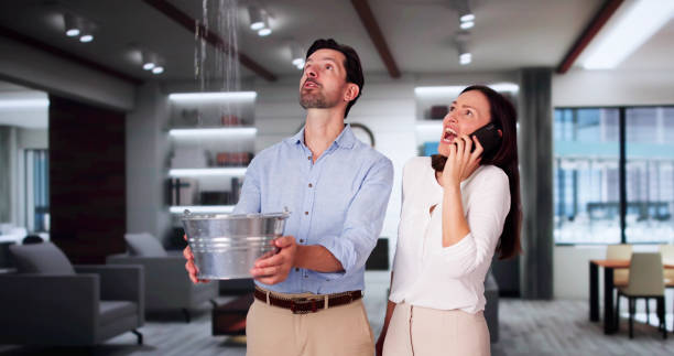 Best Flood damage cleanup  in Cascade Locks, OR