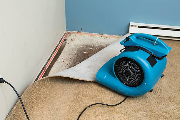 Best Water damage restoration cost  in Cascade Locks, OR